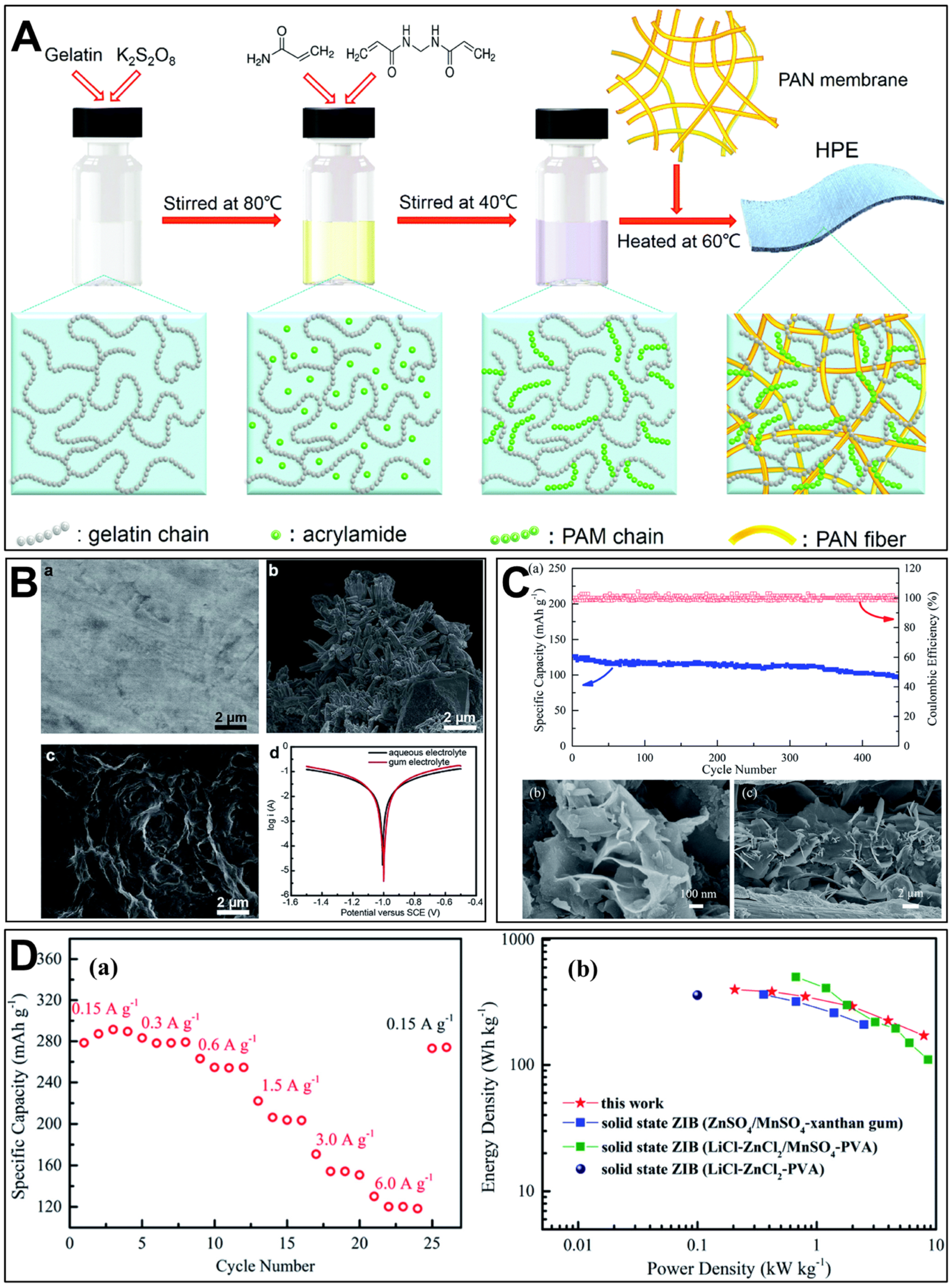 Polymers 15 04047 g002
