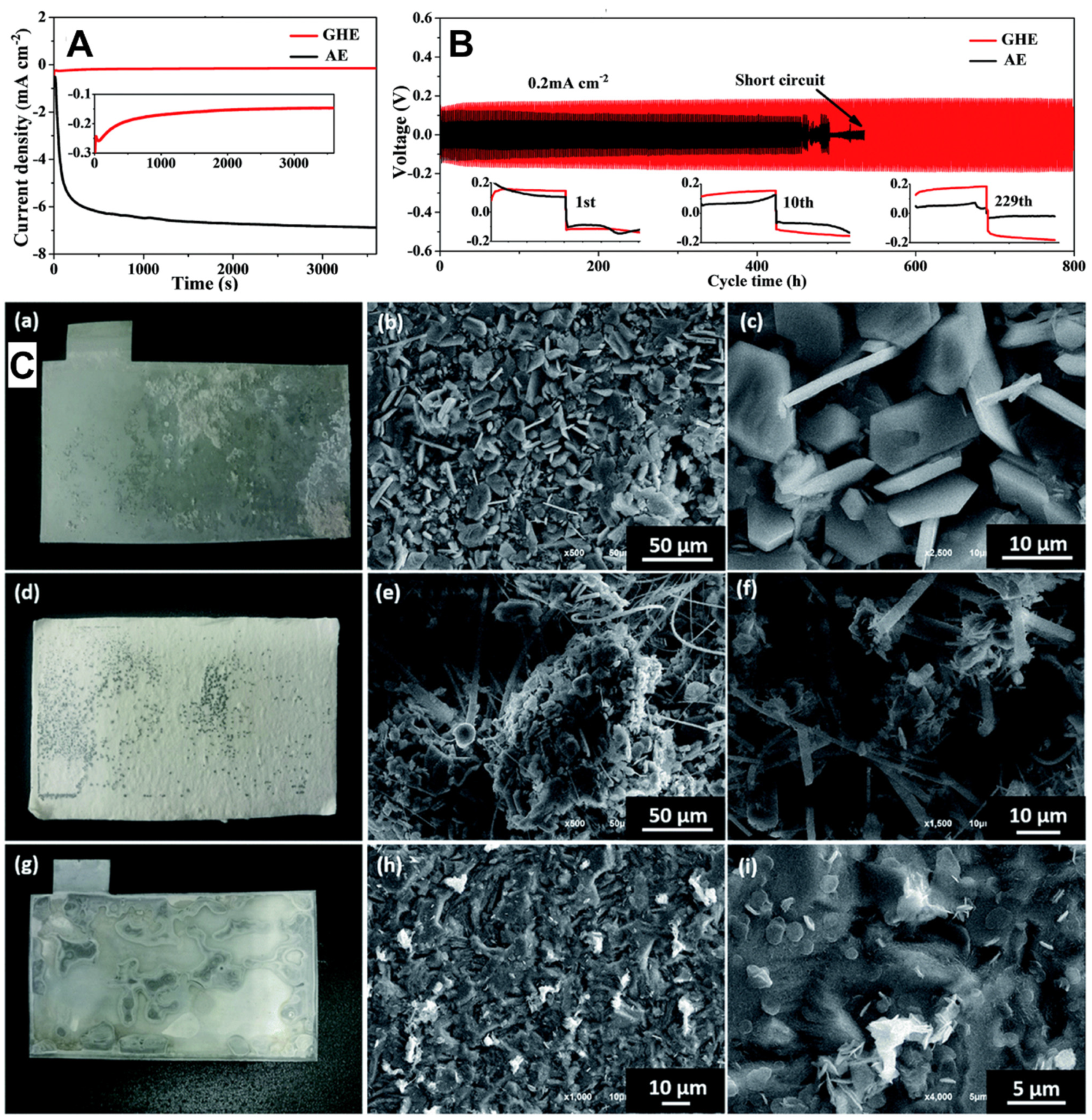 Polymers 15 04047 g003