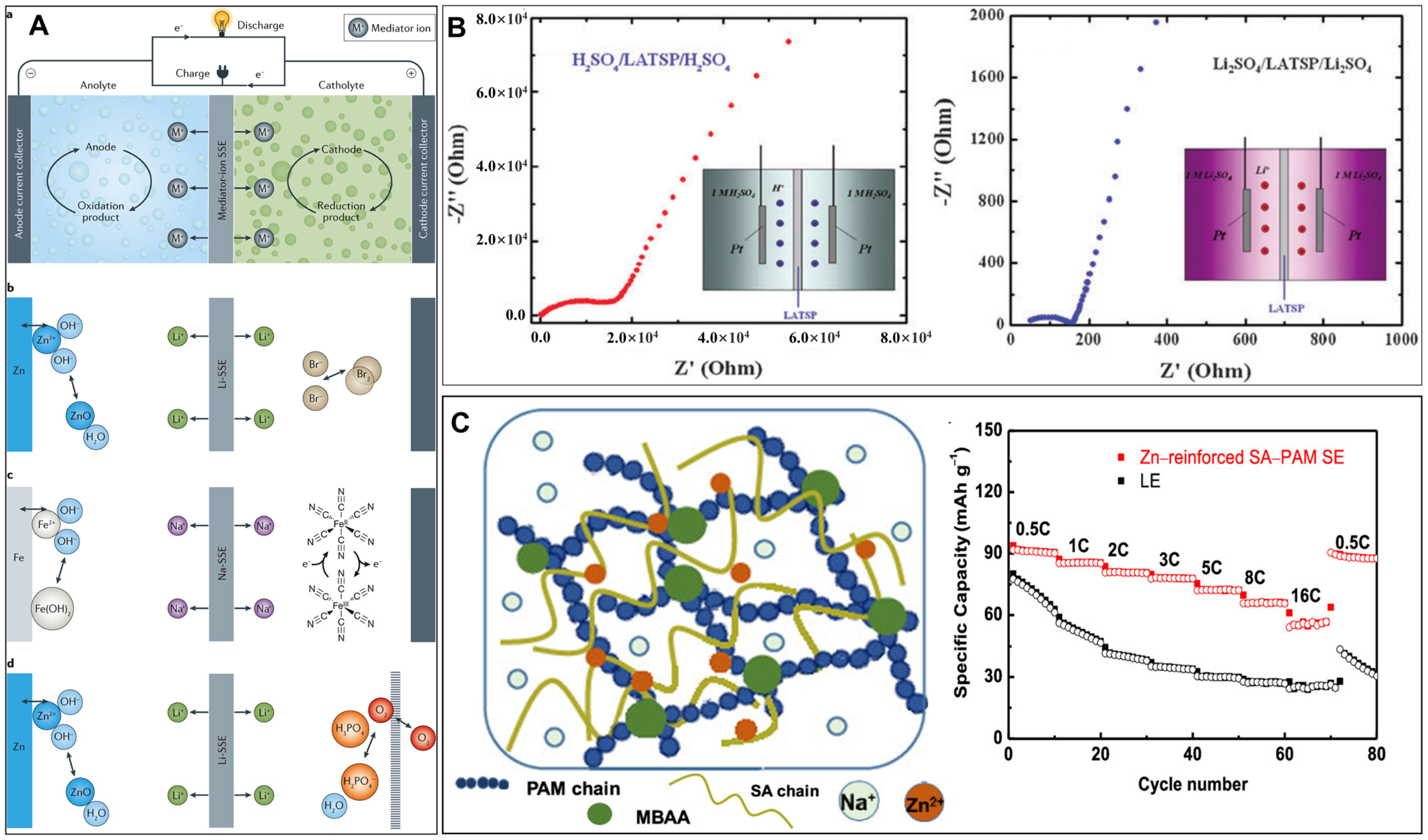 Polymers 15 04047 g006