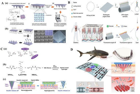 Polymers 15 04059 g004
