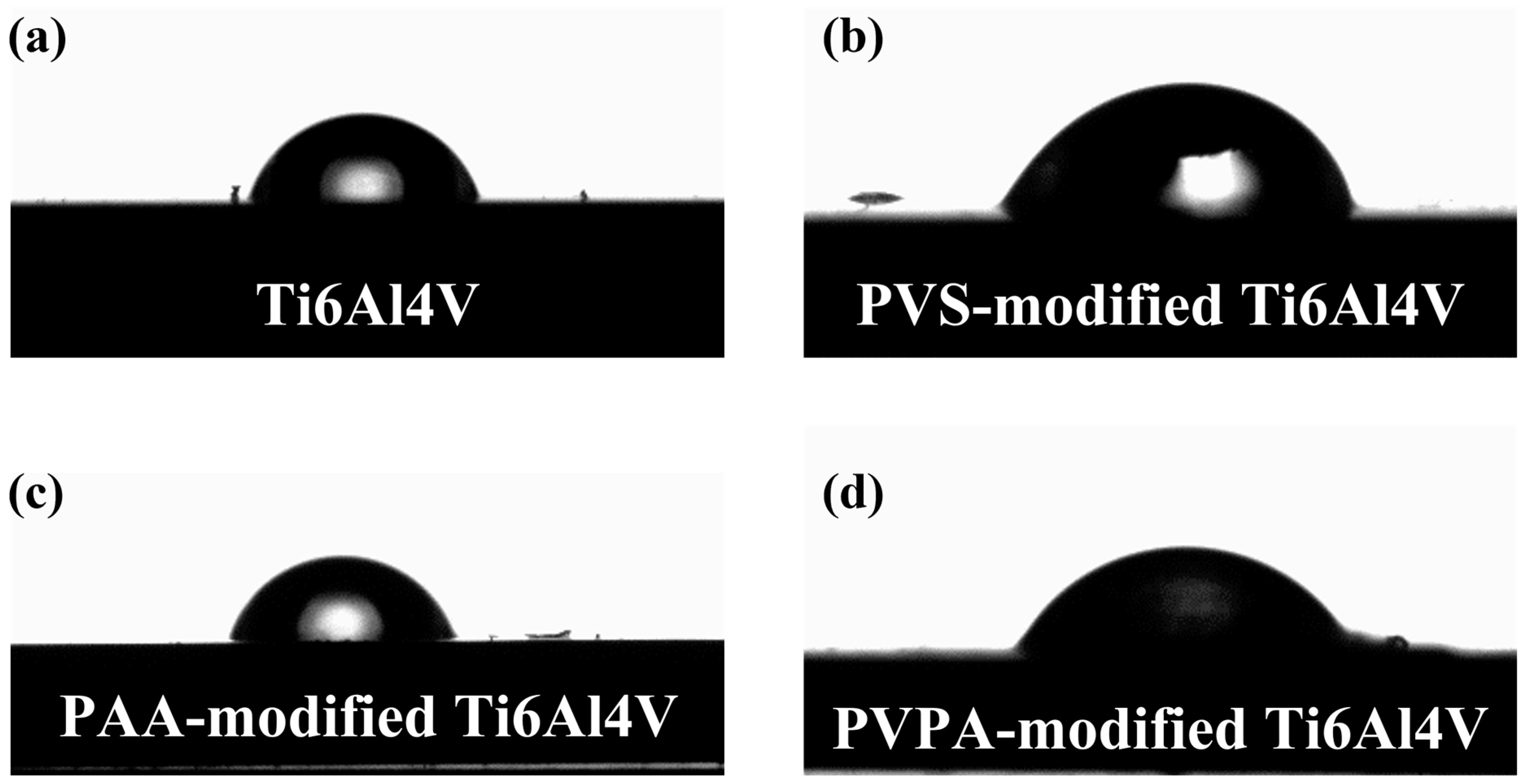 Polymers 15 04060 g003