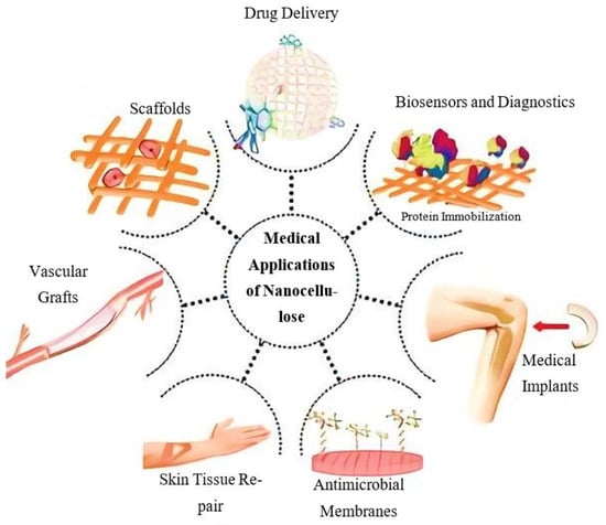 Polymers 15 04070 g017