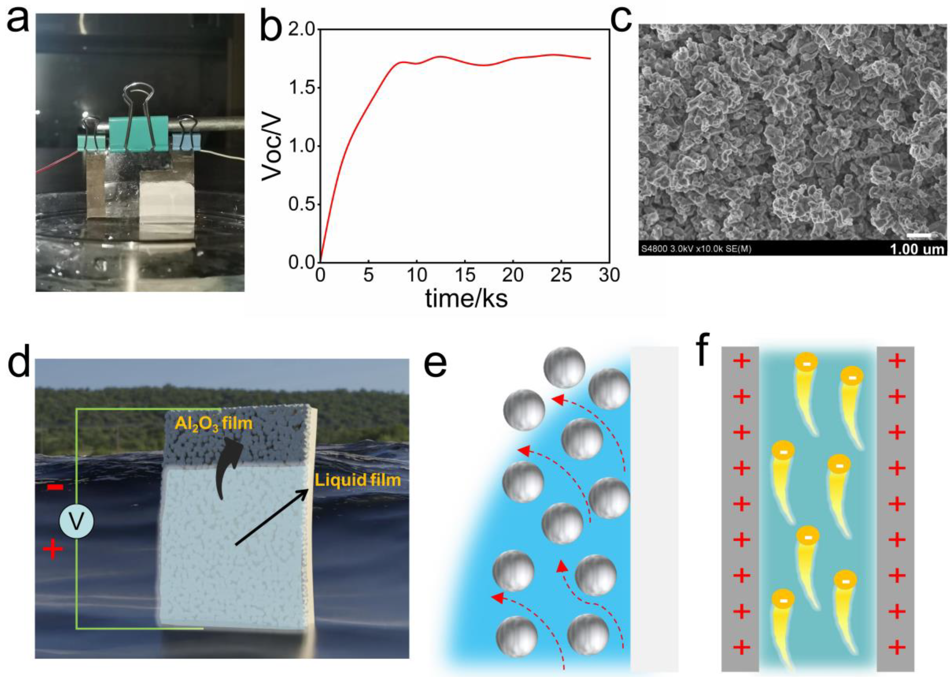 Polymers 15 04079 g001