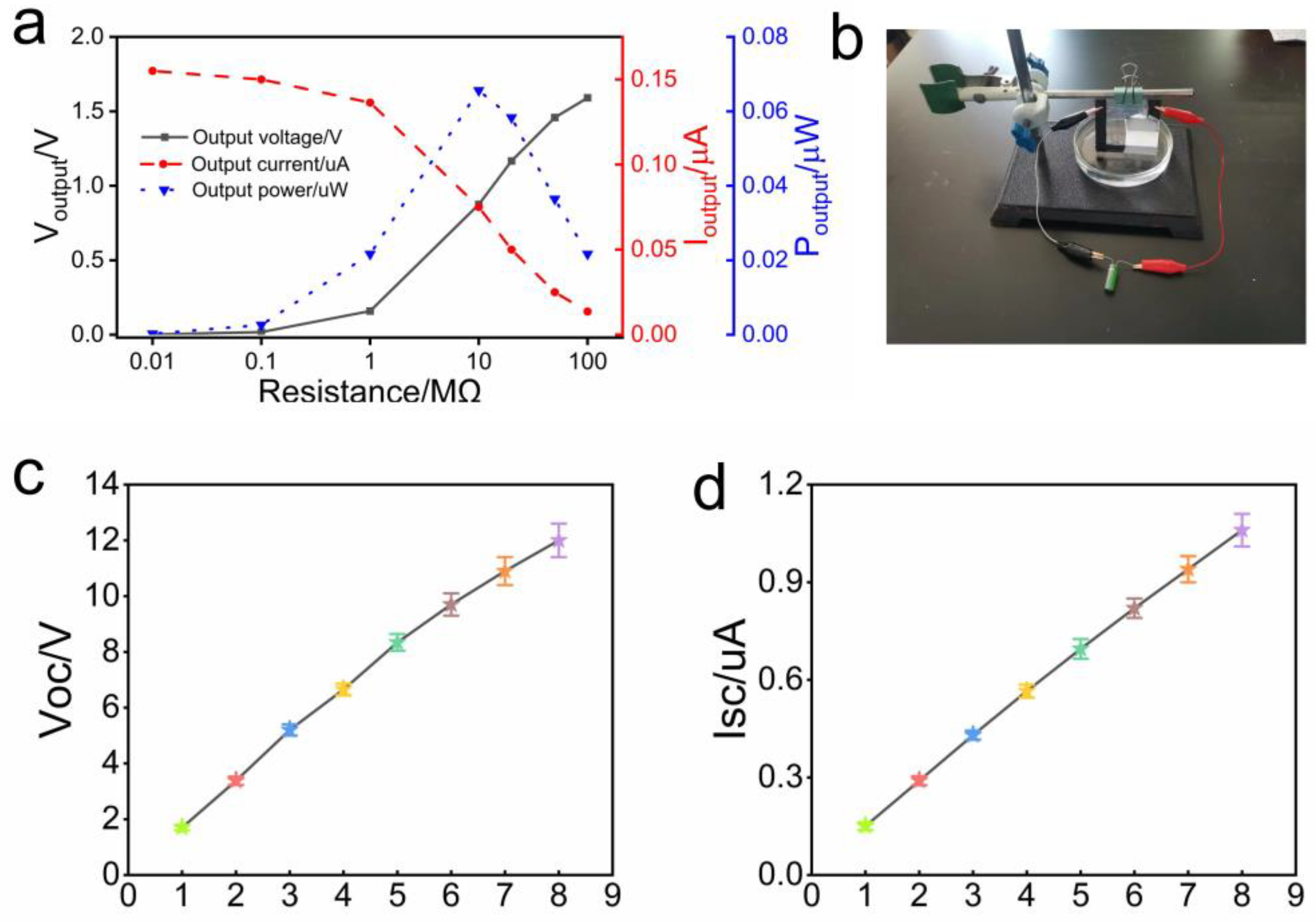 Polymers 15 04079 g005
