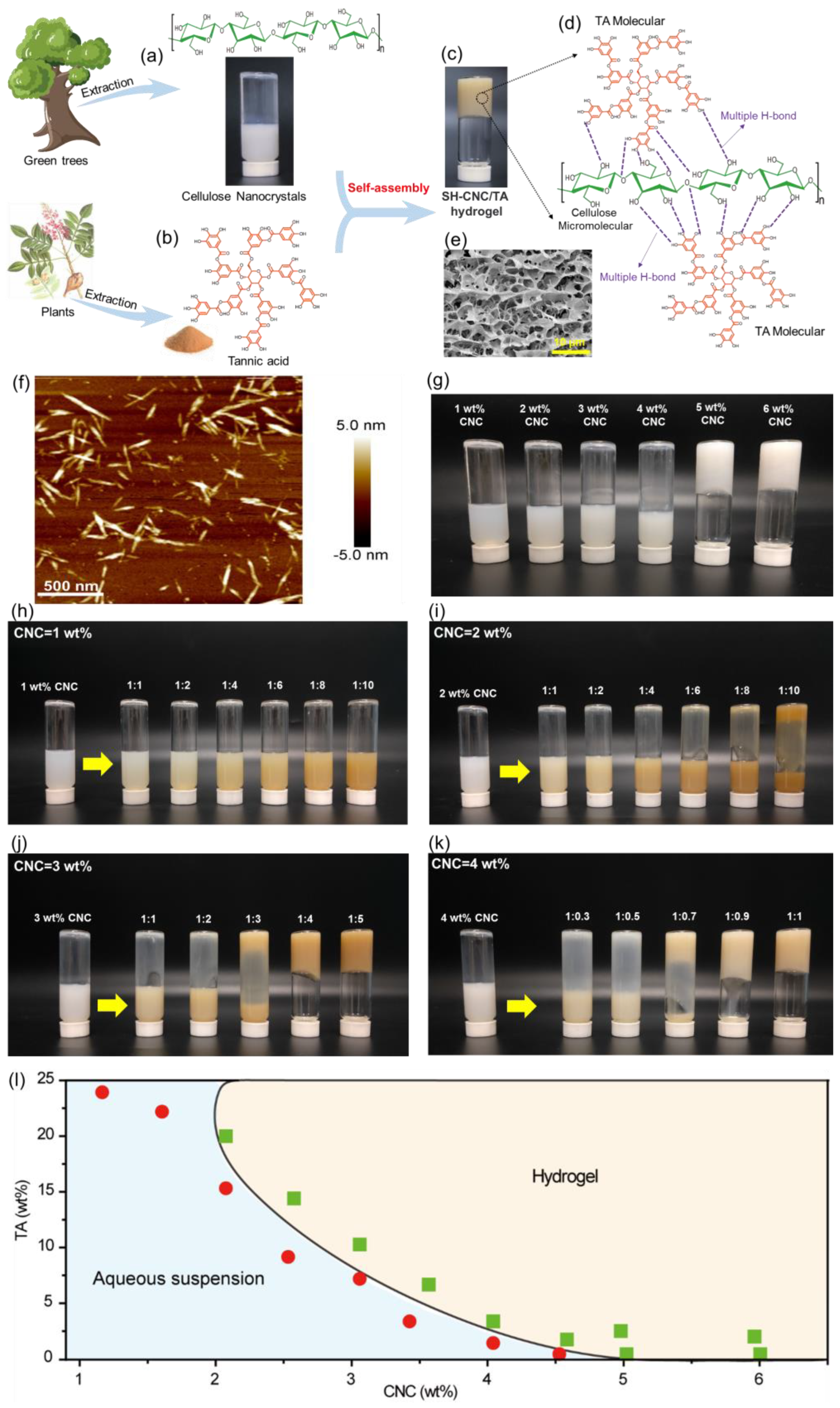 Polymers 15 04092 g001