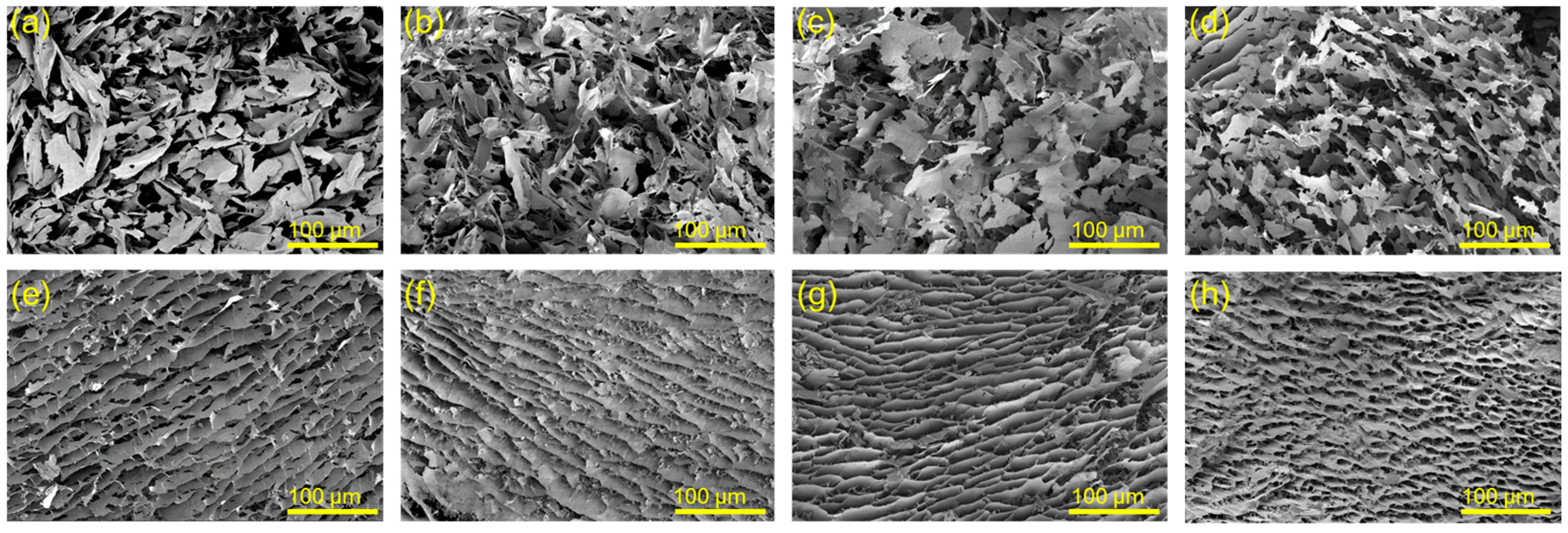 Polymers 15 04092 g005