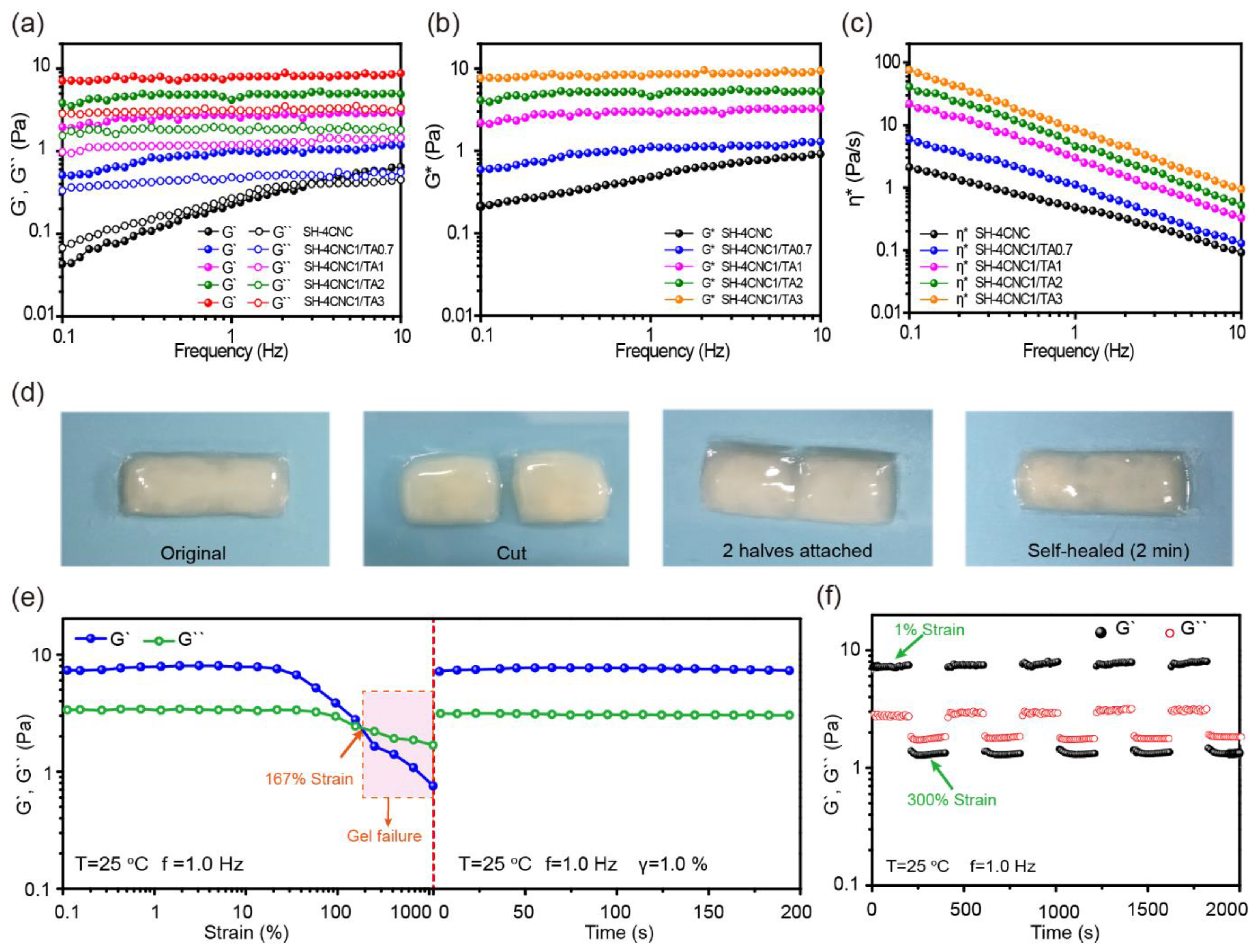 Polymers 15 04092 g007