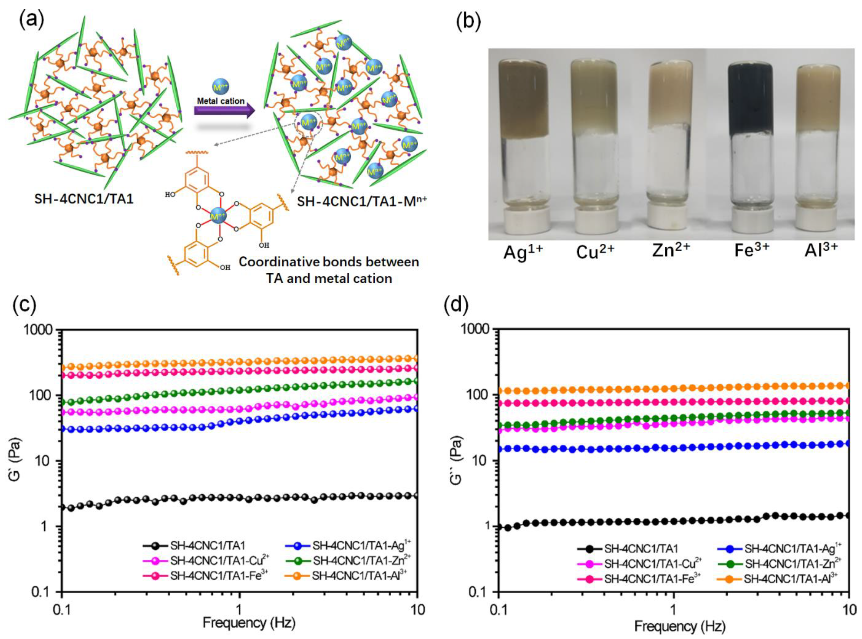 Polymers 15 04092 g008