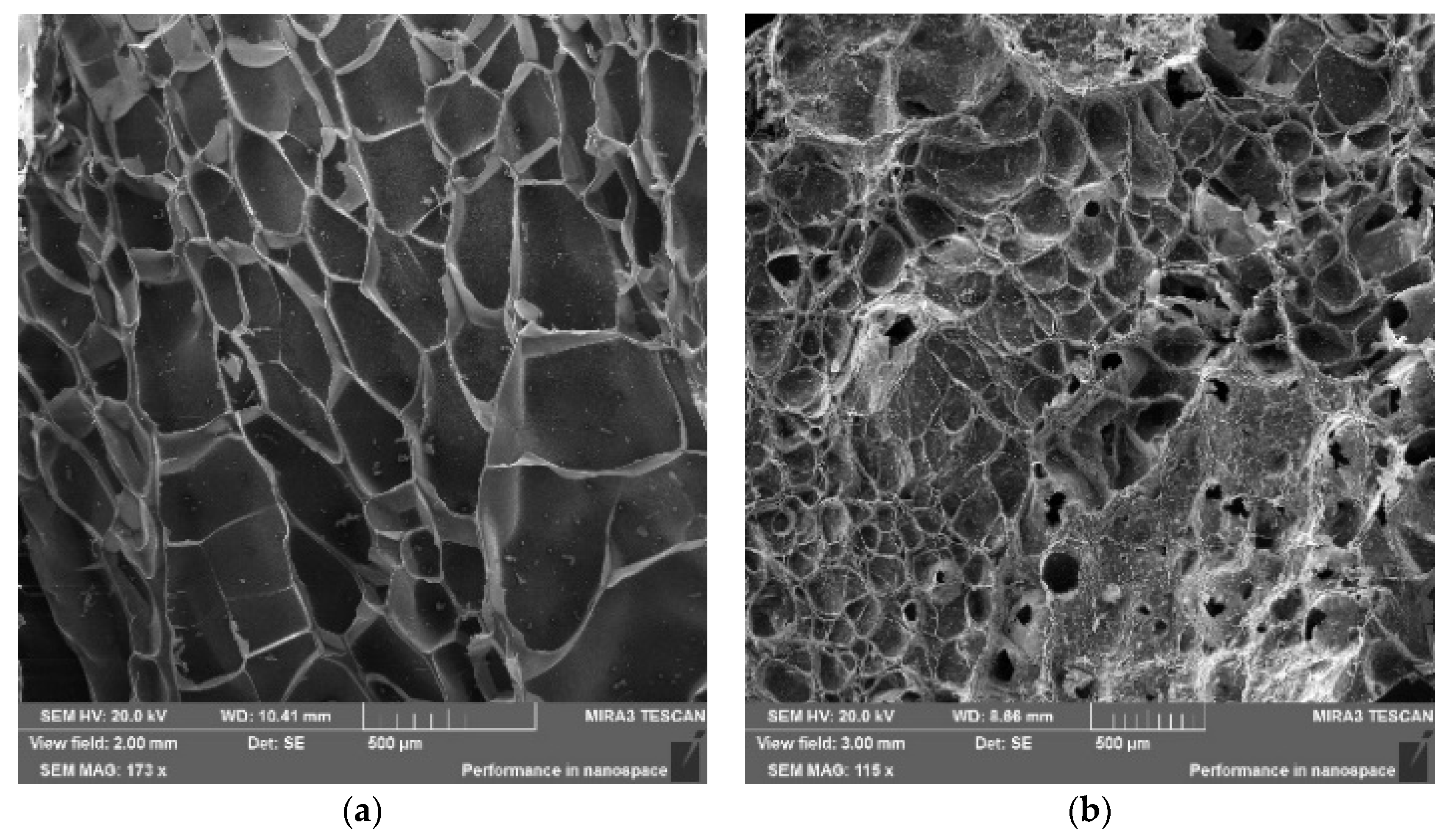 Polymers 15 04095 g010