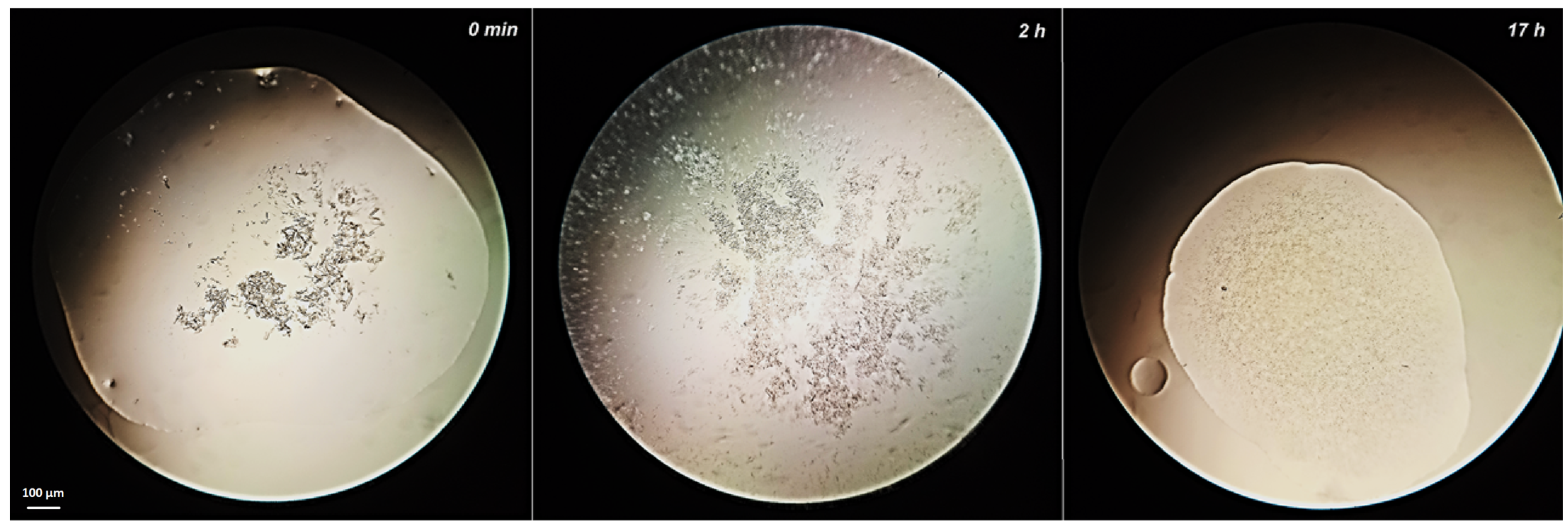 Polymers 15 04097 g006
