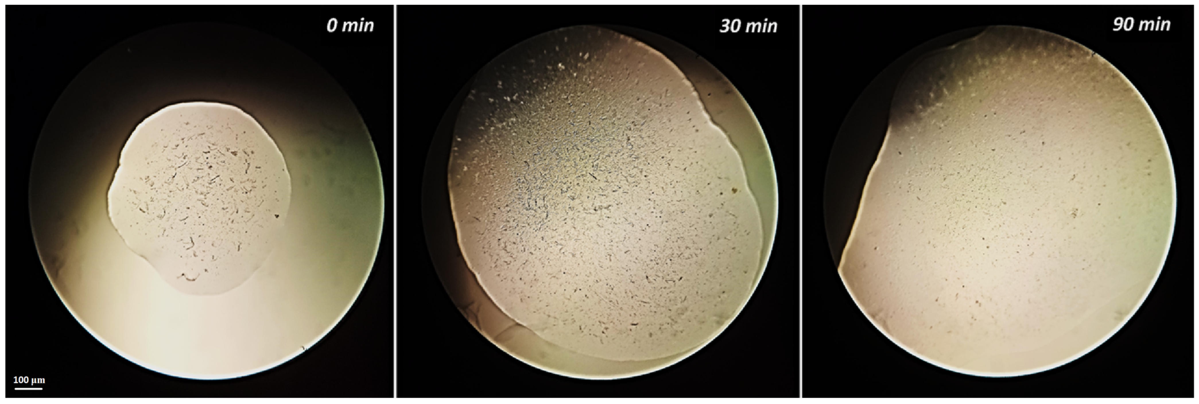 Polymers 15 04097 g007