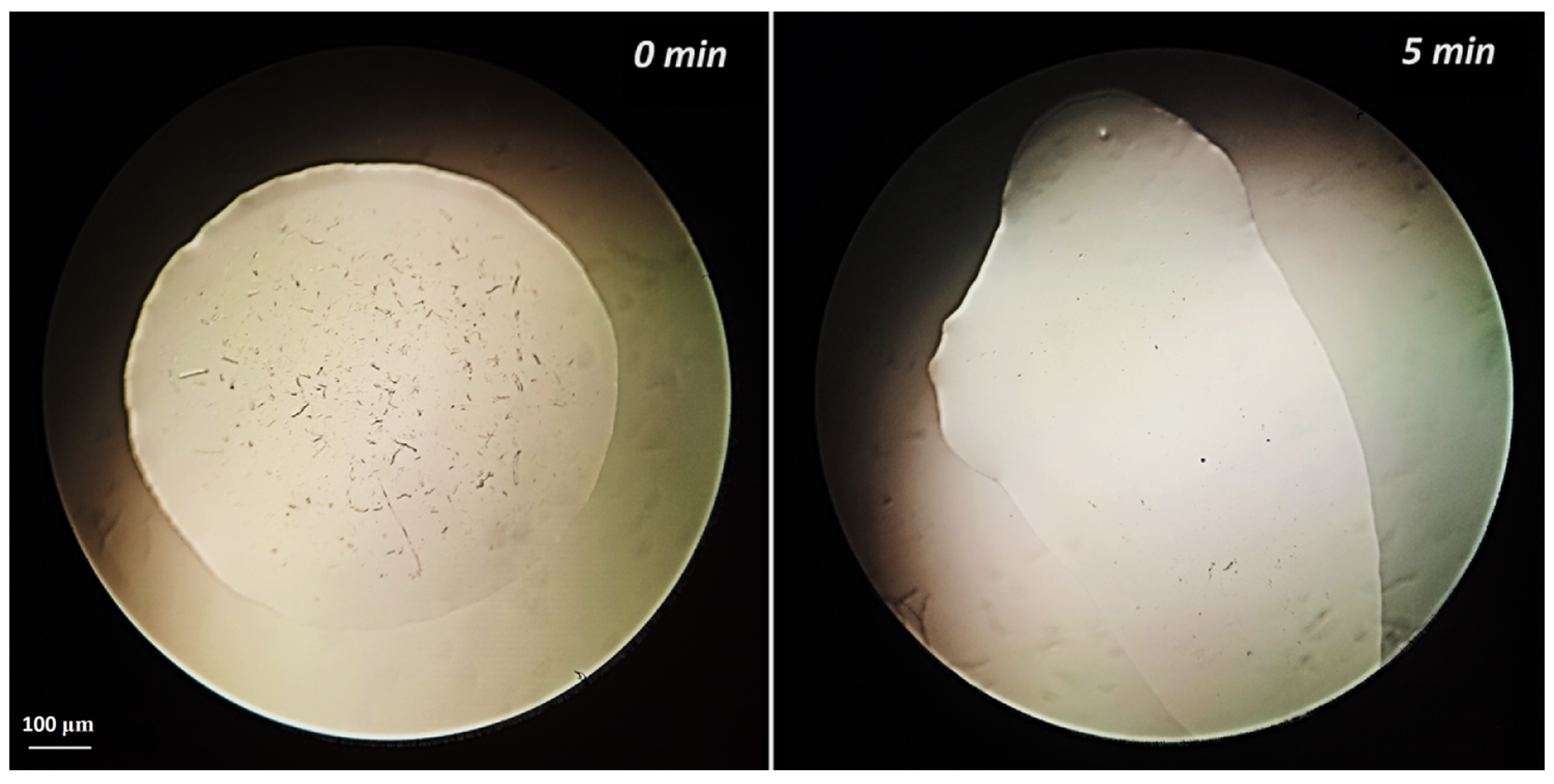 Polymers 15 04097 g008