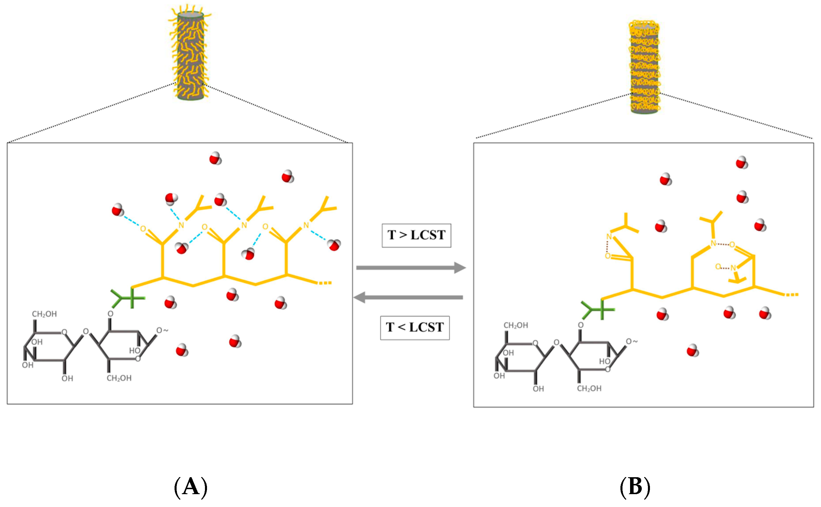 Polymers 15 04101 g001