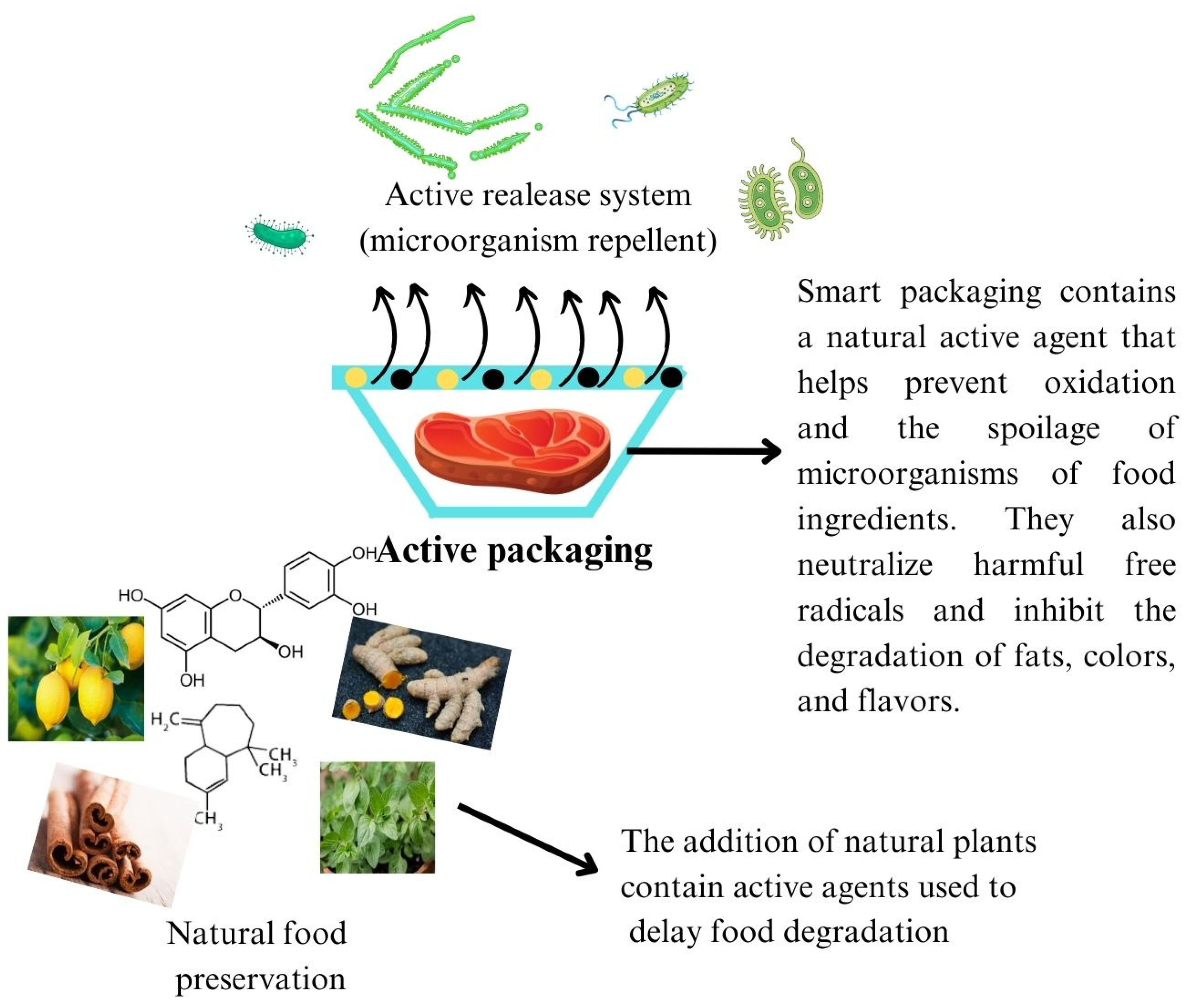 Polymers 15 04103 g001