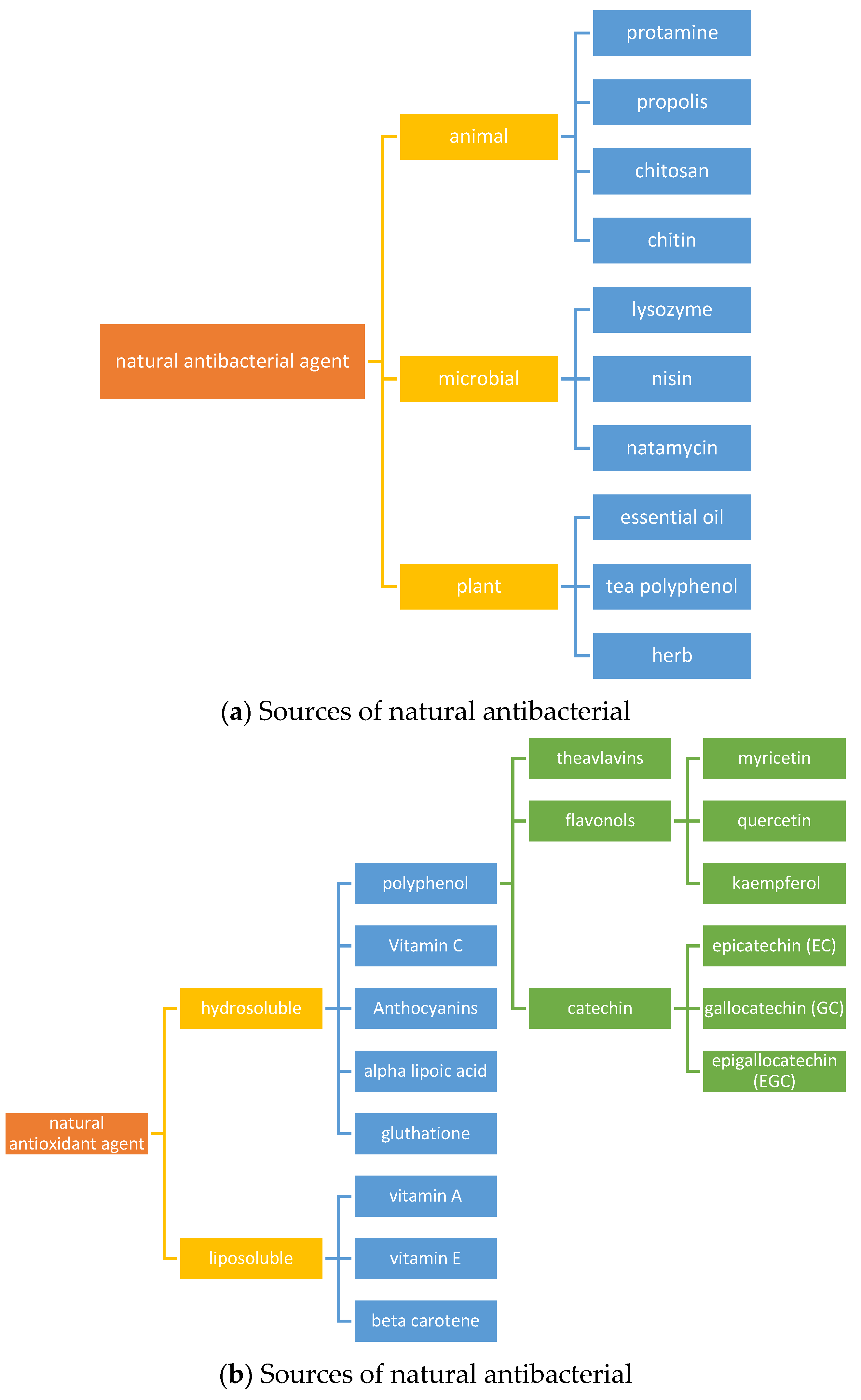 Polymers 15 04103 g002