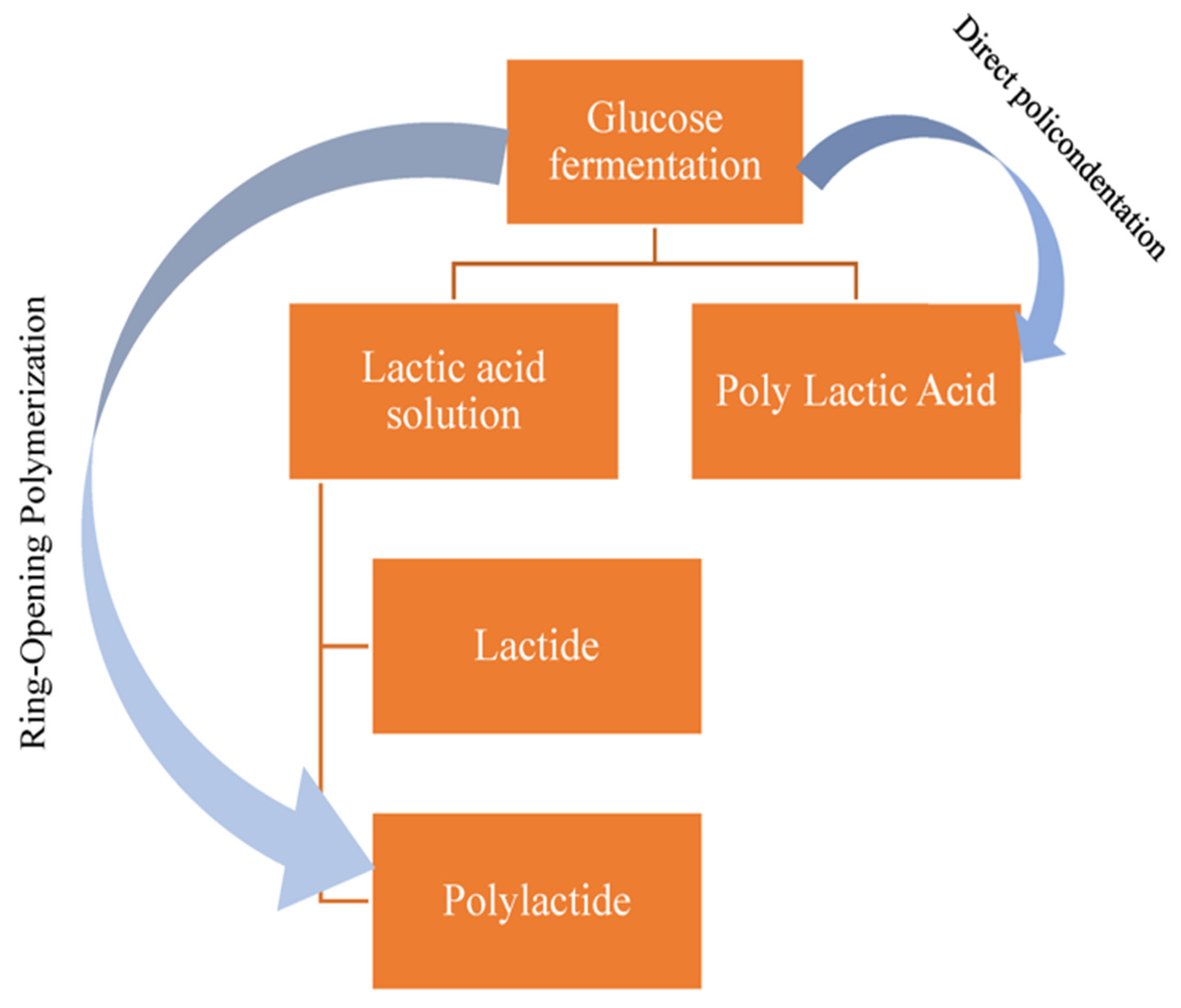 Polymers 15 04103 g003