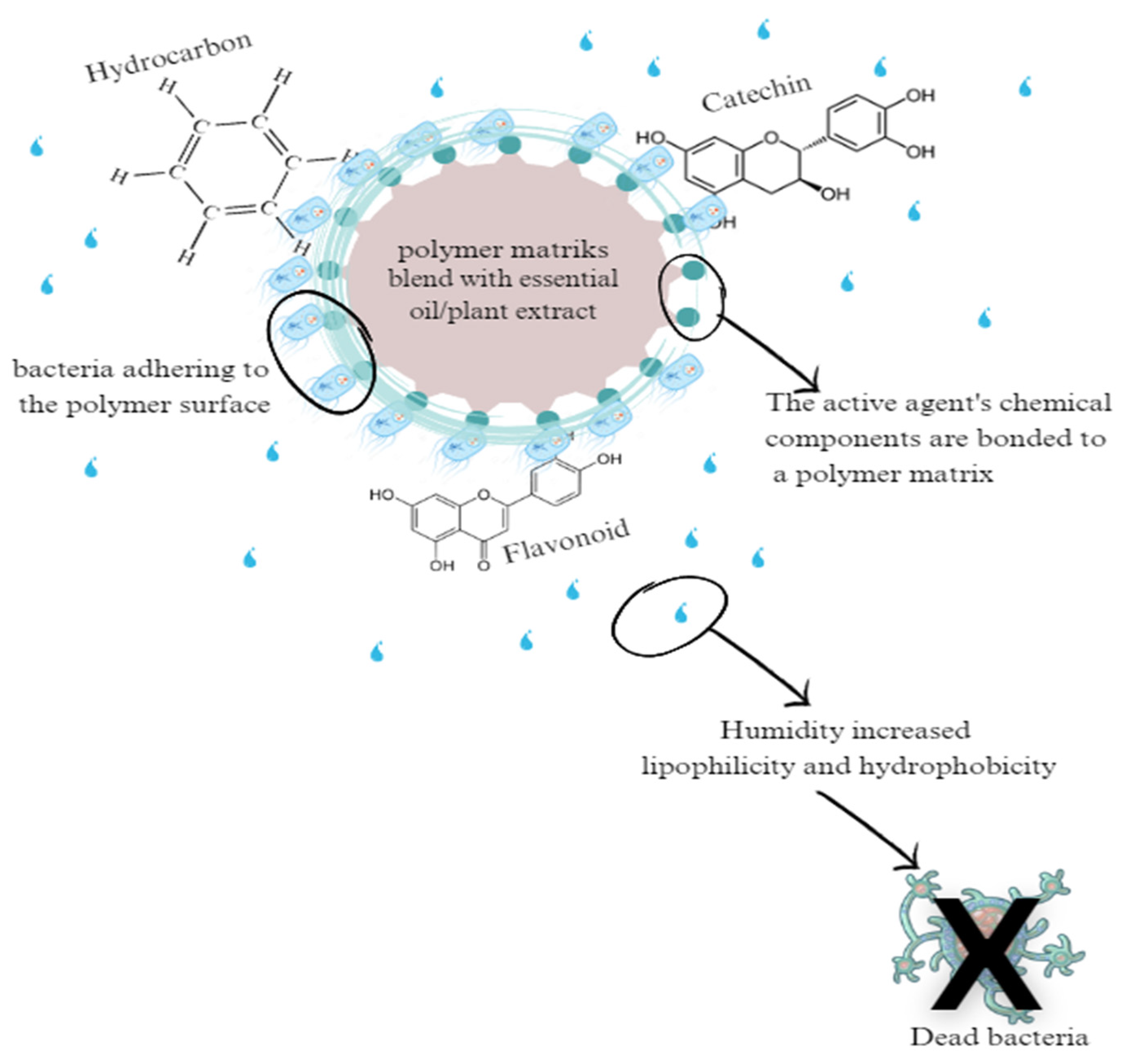 Polymers 15 04103 g006