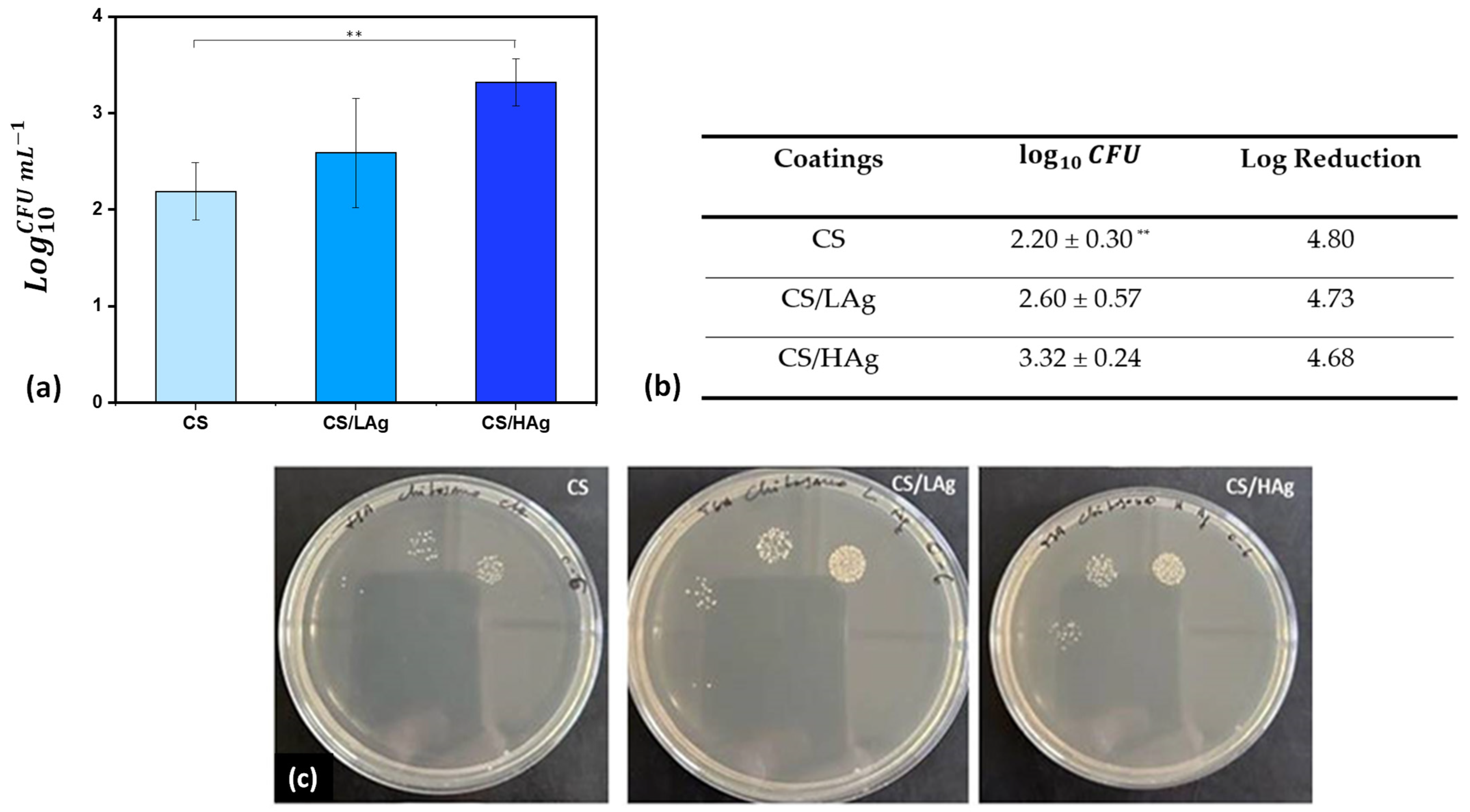 Polymers 15 04130 g006