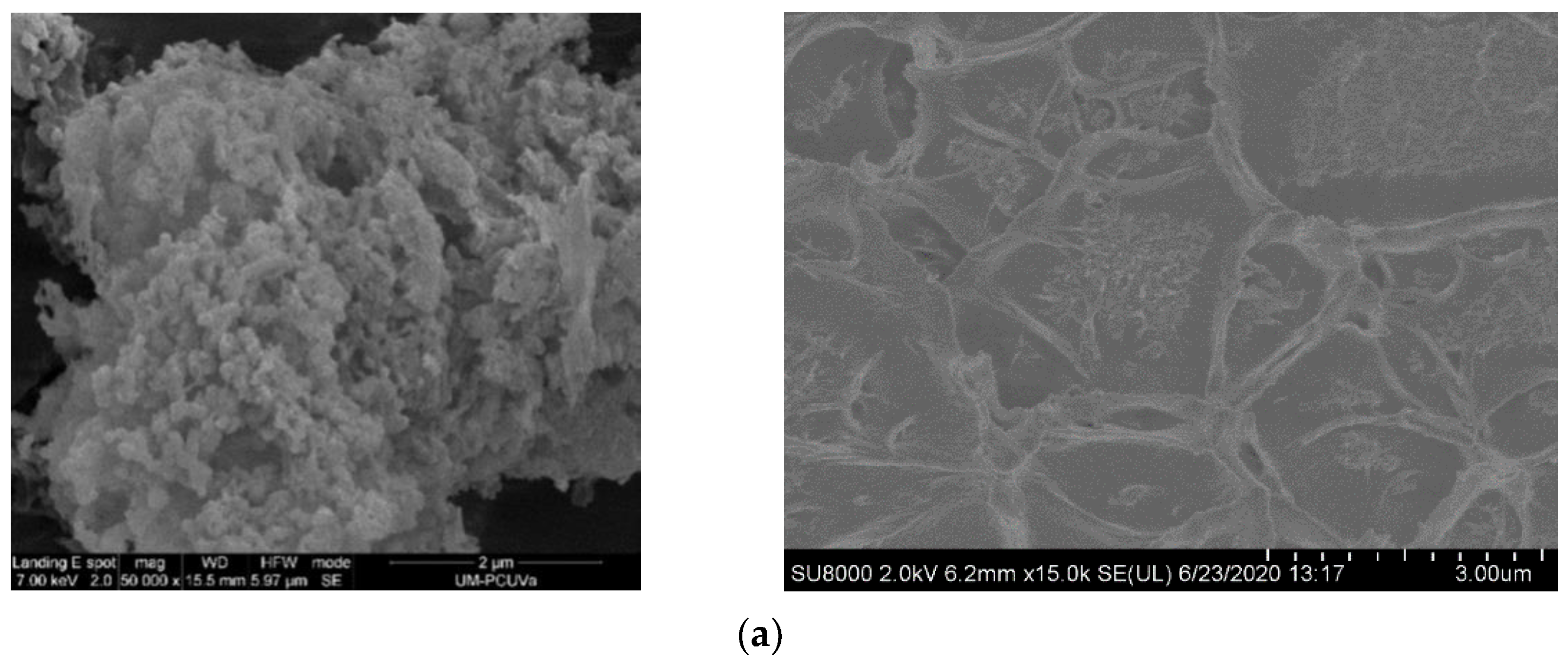 Polymers 15 04135 g005a
