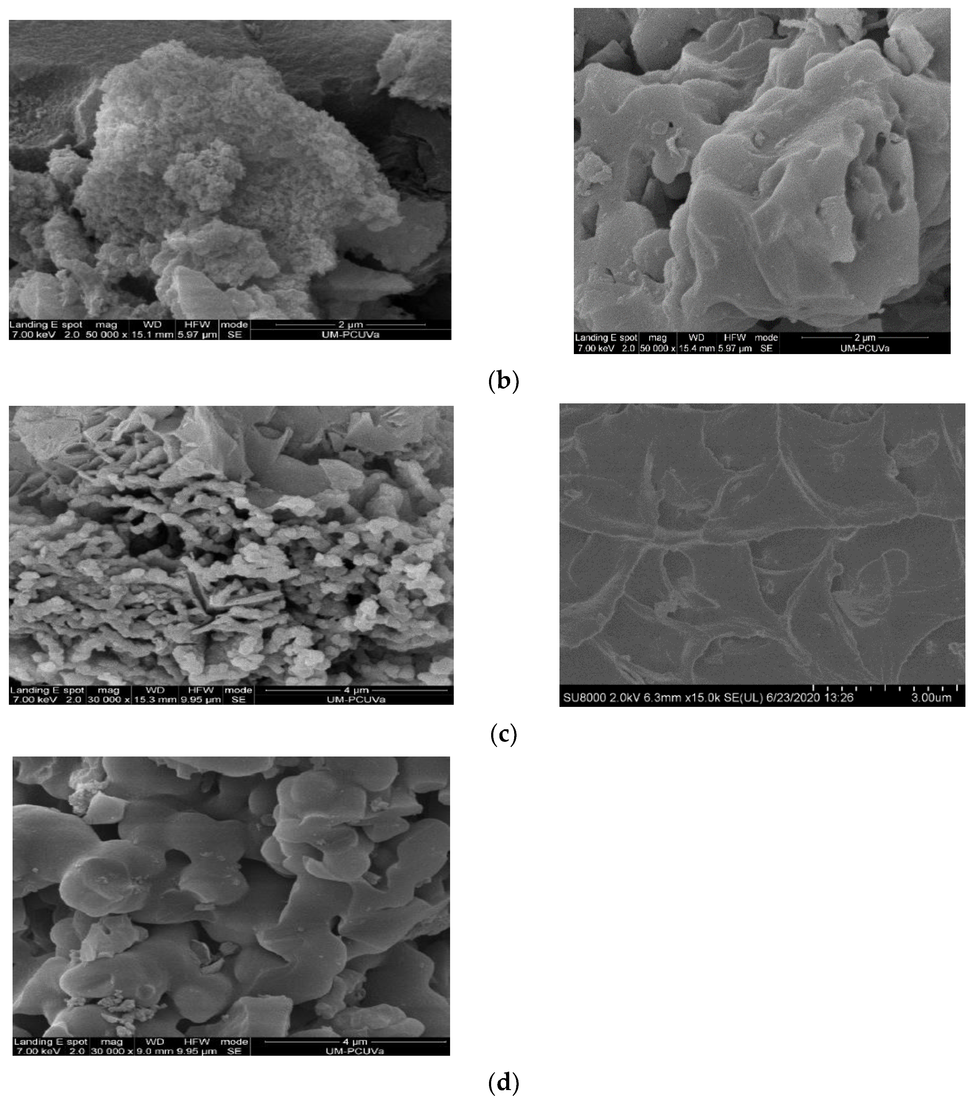 Polymers 15 04135 g005b
