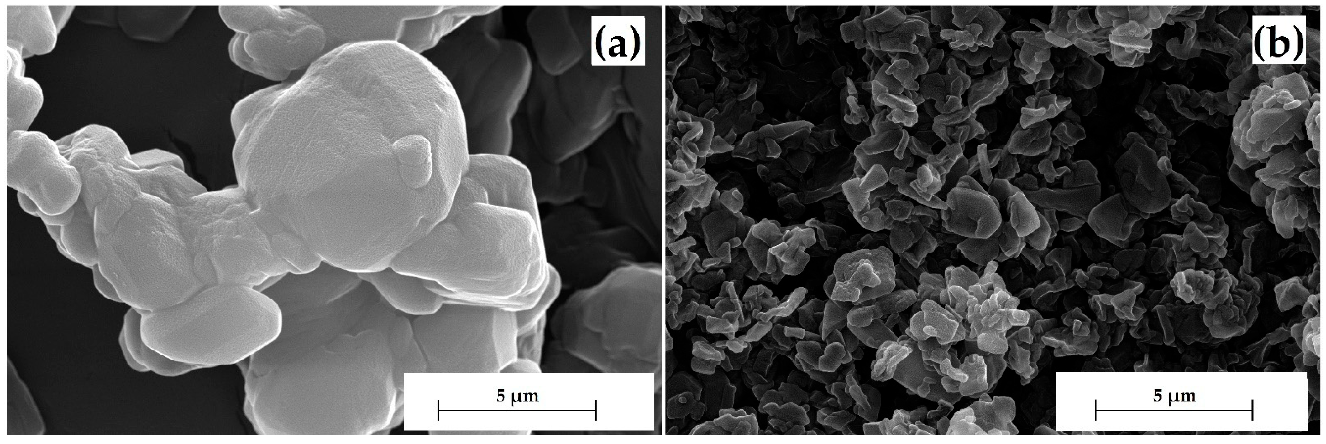 Polymers 15 04136 g004a