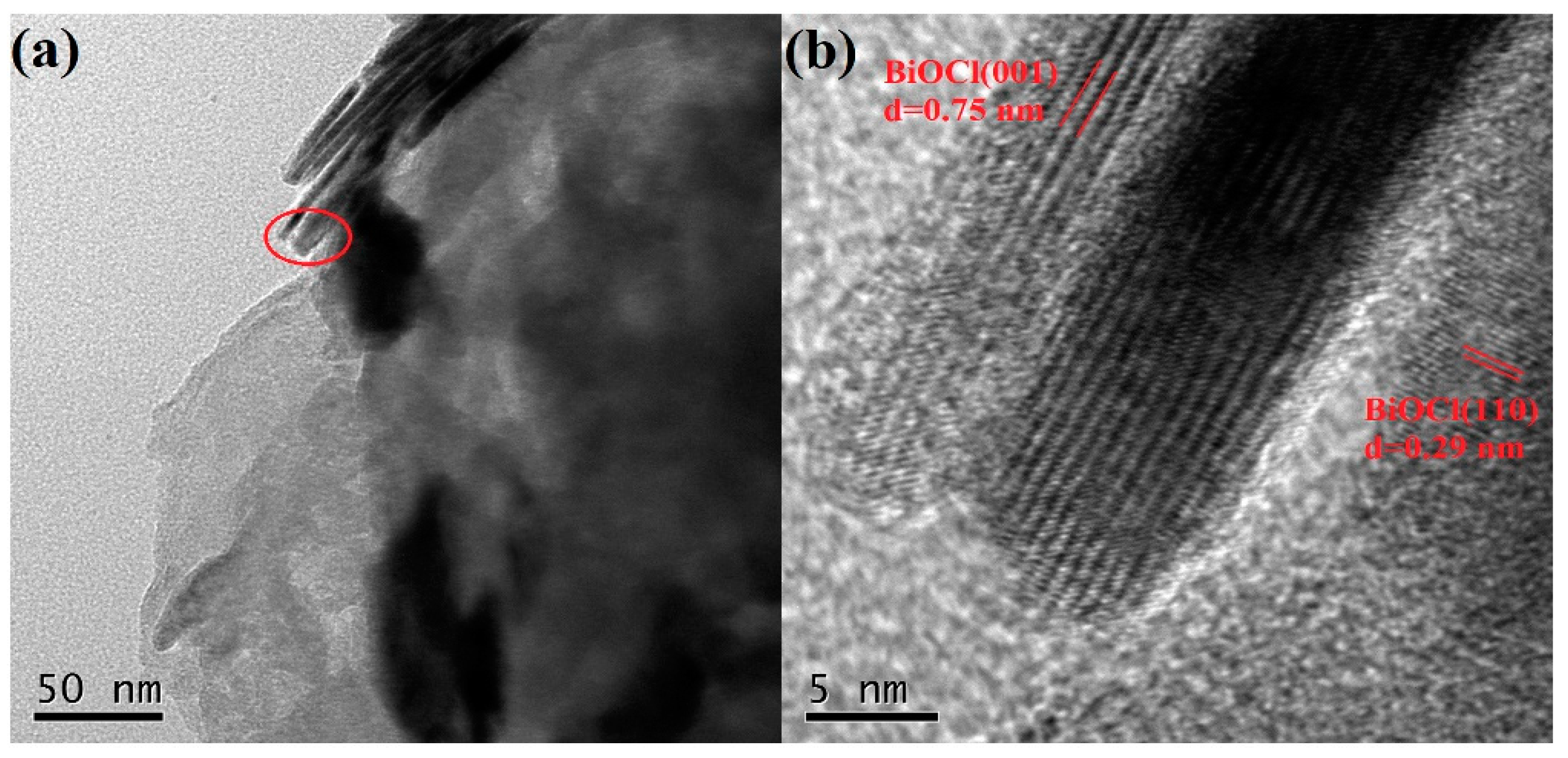 Polymers 15 04145 g003