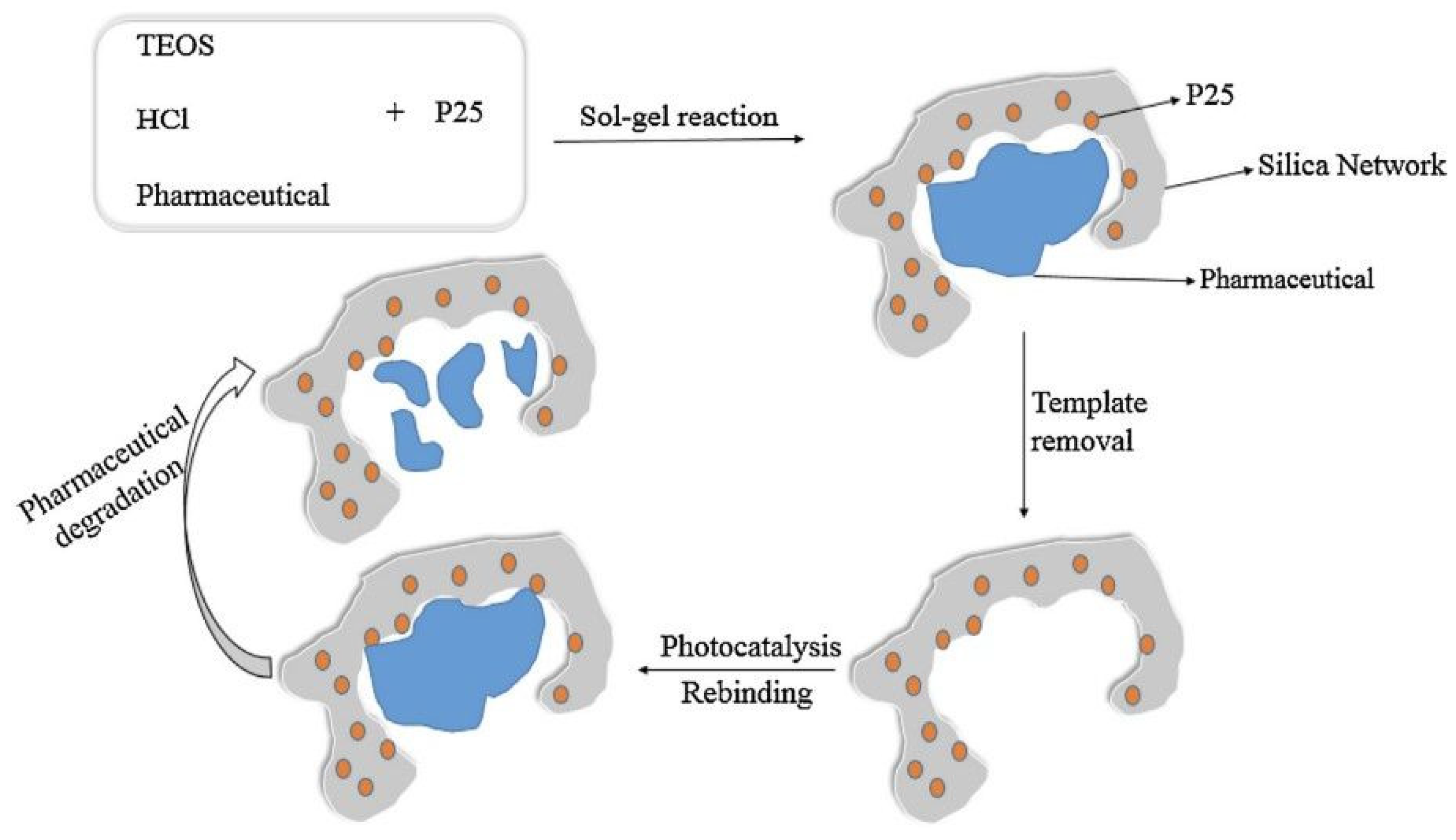 Polymers 15 04152 g001