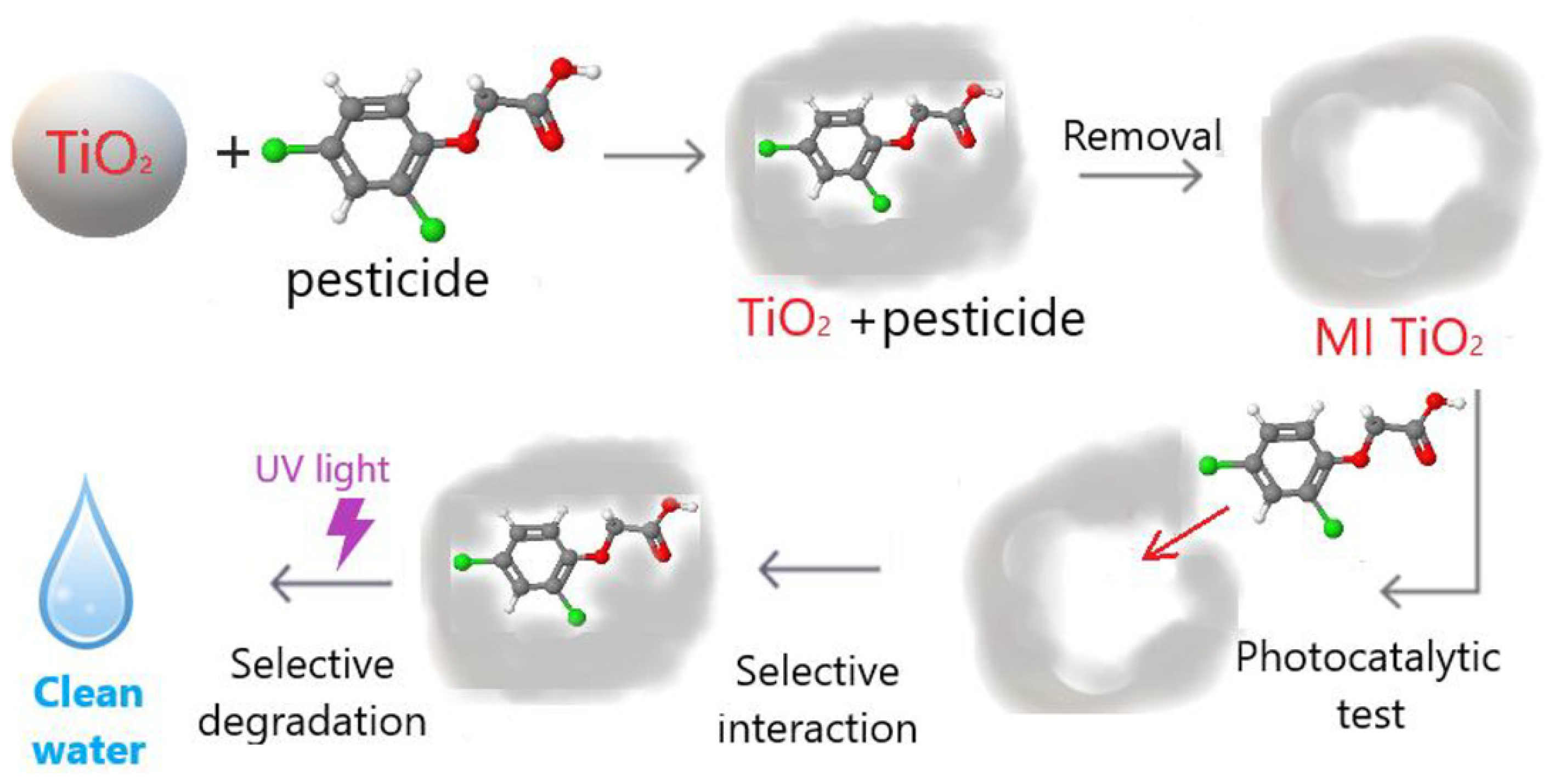 Polymers 15 04152 g002