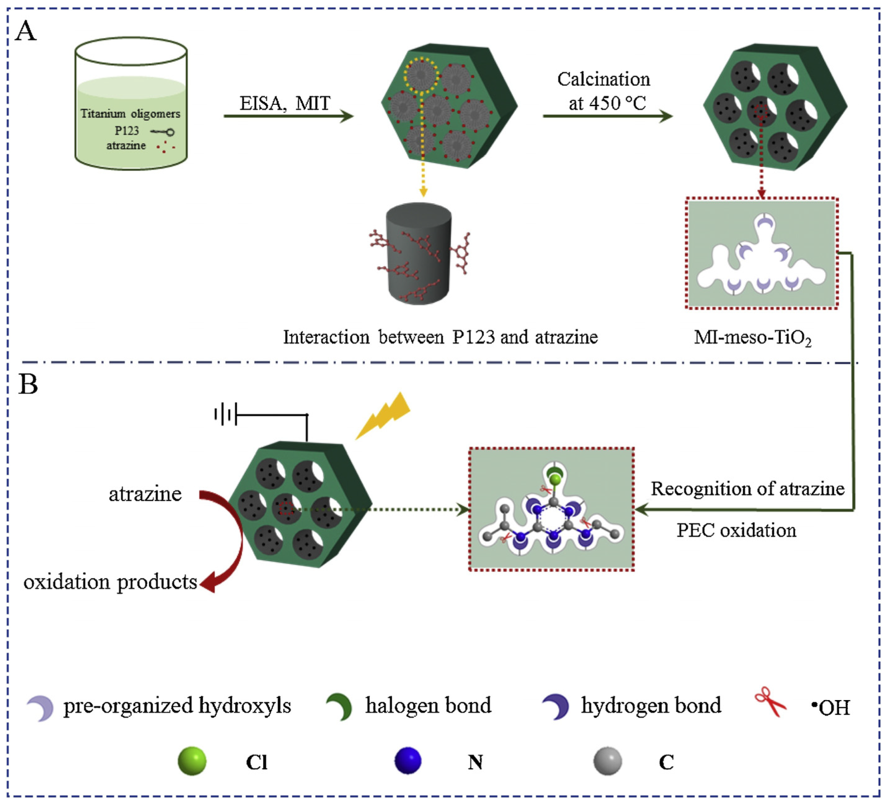 Polymers 15 04152 g003