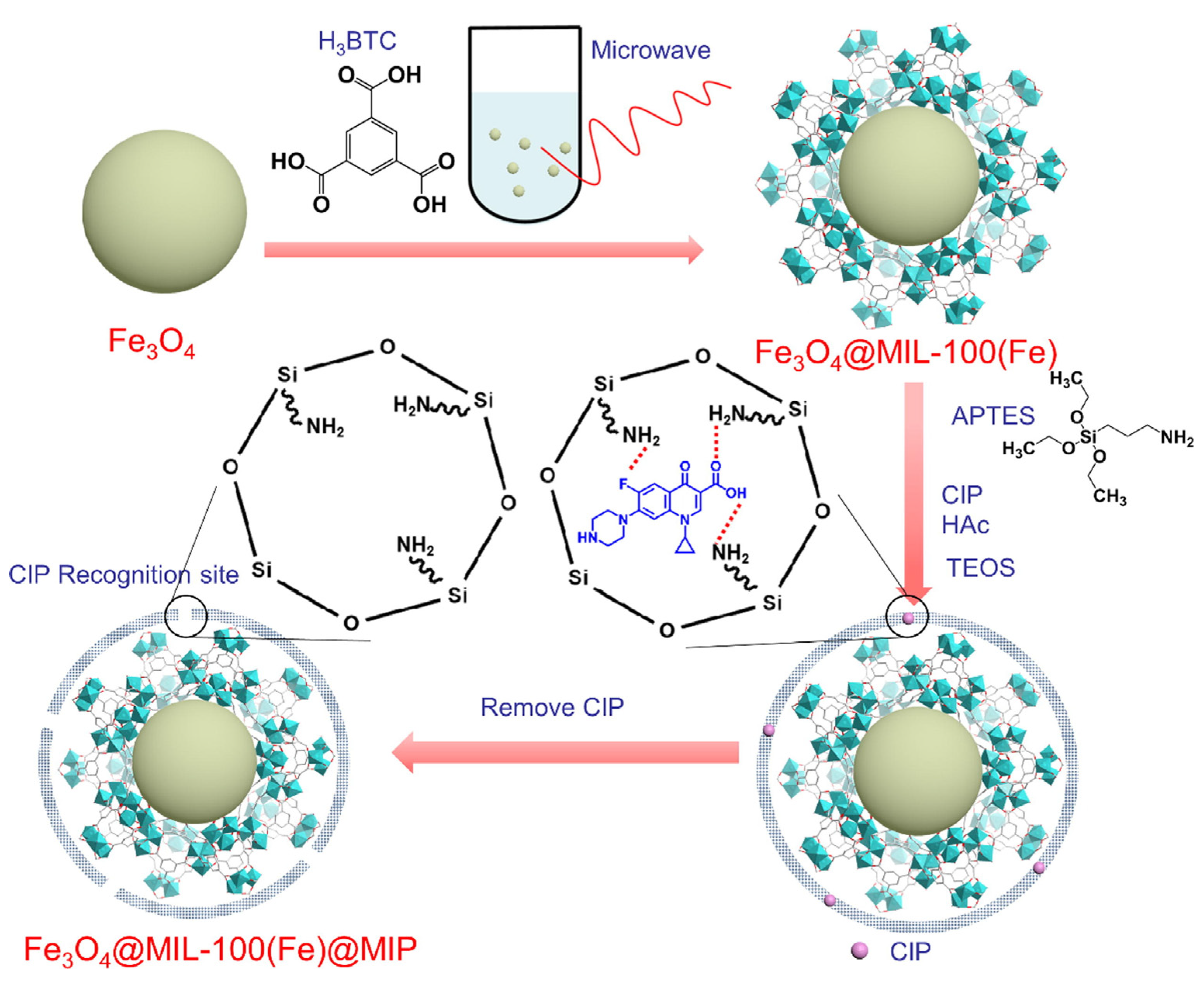Polymers 15 04152 g005