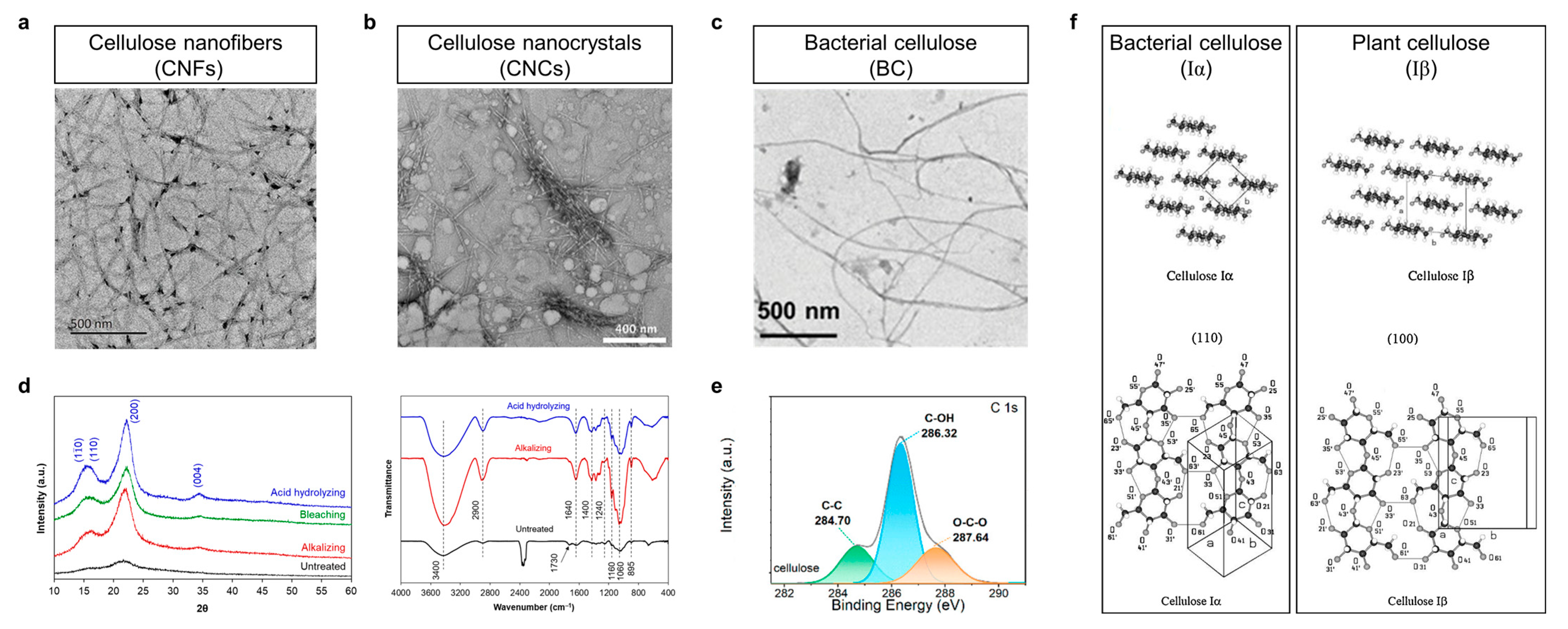 Polymers 15 04159 g003