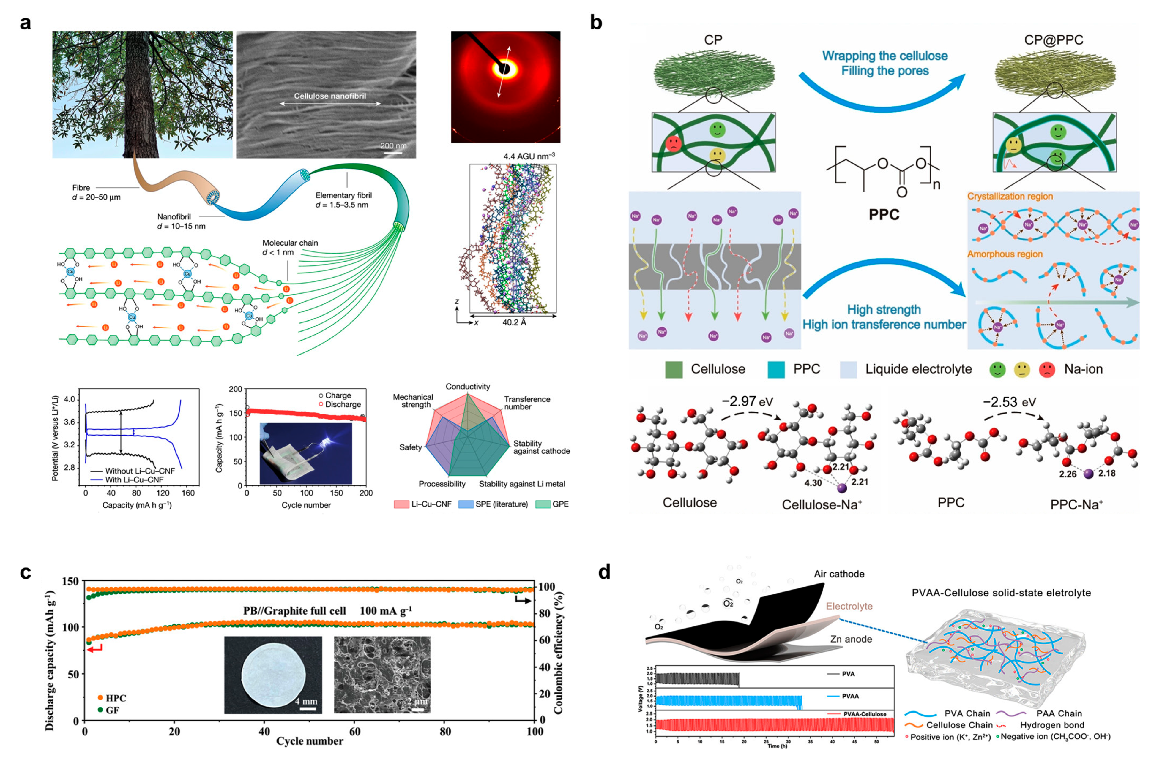 Polymers 15 04159 g008