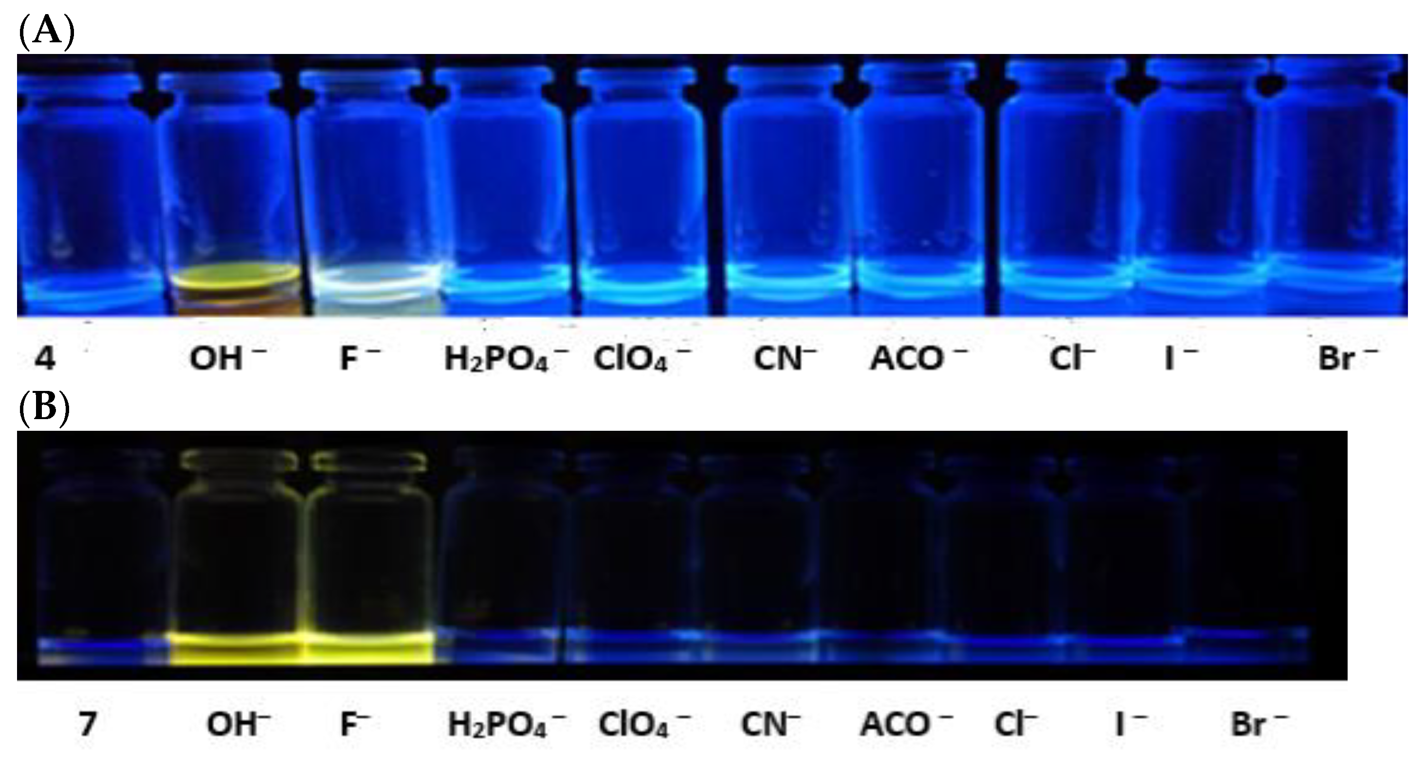 Polymers 15 04160 g003