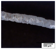 Polymers 15 04164 i002