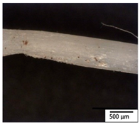 Polymers 15 04164 i003