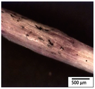 Polymers 15 04164 i008