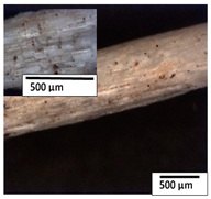 Polymers 15 04164 i009