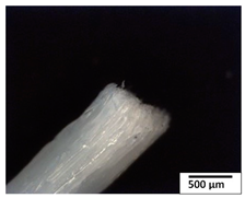 Polymers 15 04164 i010