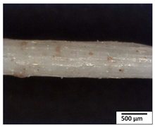 Polymers 15 04164 i013