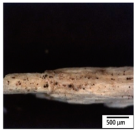 Polymers 15 04164 i014