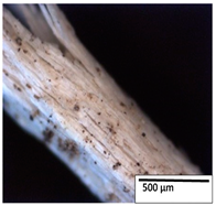 Polymers 15 04164 i015