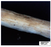 Polymers 15 04164 i017