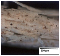 Polymers 15 04164 i018