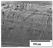 Polymers 15 04164 i020