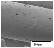 Polymers 15 04164 i023