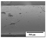 Polymers 15 04164 i024