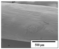 Polymers 15 04164 i025