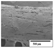 Polymers 15 04164 i026