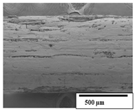 Polymers 15 04164 i030