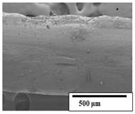 Polymers 15 04164 i031